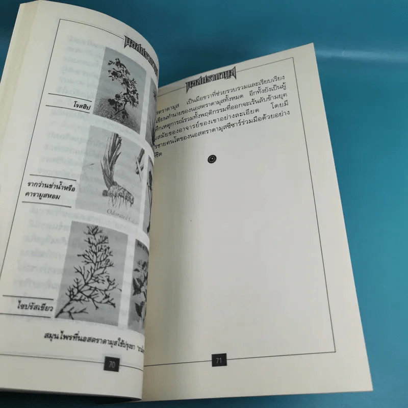 นอสตราดามุส เล่ม 1-5 ชุด Vision 2000 รูปที่ 15