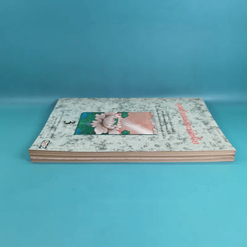 ชีวิตที่สมบูรณ์ + คู่สร้างคู่สม + การสร้างสรรค์ประชาธิปไตย รูปที่ 5
