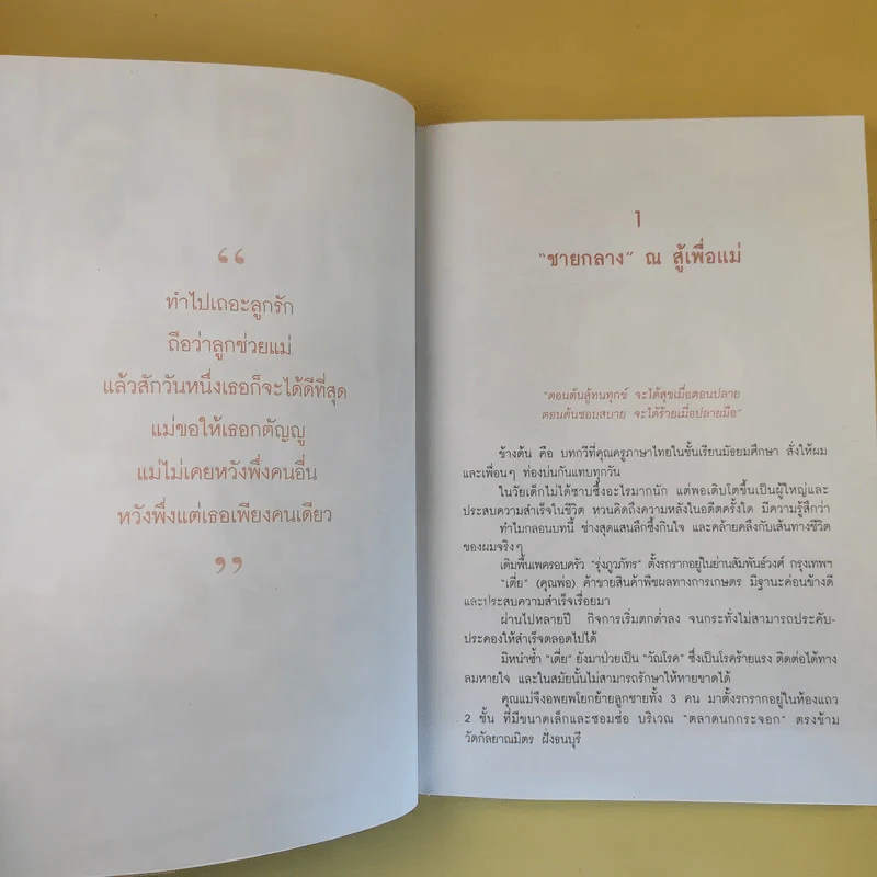 ธุรกิจพันล้านที่คนเมิน - วันชัย รุ่งภูวภัทร รูปที่ 12