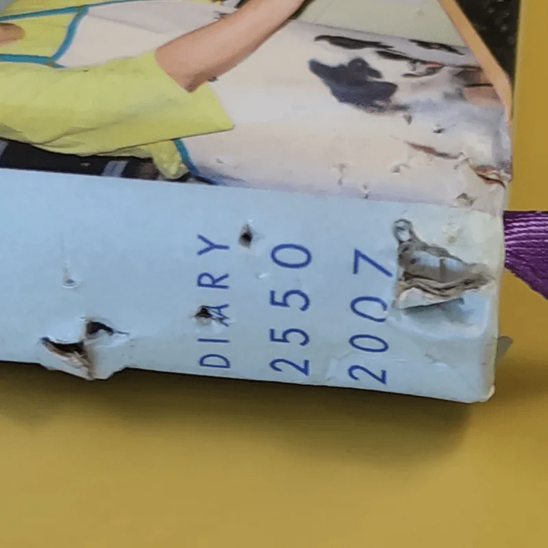 ครัวสระปทุม สิรินธร Diary 2550/2007 รูปที่ 4