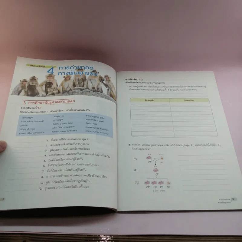 ชีววิทยา เล่ม 1-2 ชั้นมัธยมศึกษาปีที่ 4 รูปที่ 19