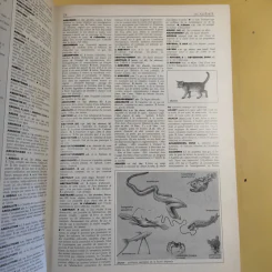 Petit Larousse Illustre 1989 รูปที่ 18