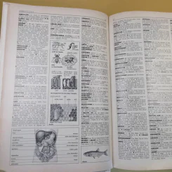 Petit Larousse Illustre 1989 รูปที่ 17
