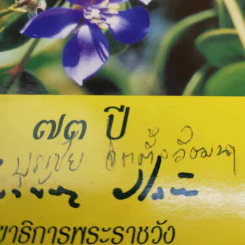 73 ปี เลขาธิการพระราชวัง 3 ก.ย.2544 รูปที่ 8