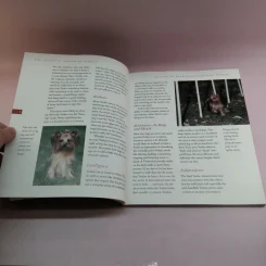 The Essential Yorkshire Terrier รูปที่ 10