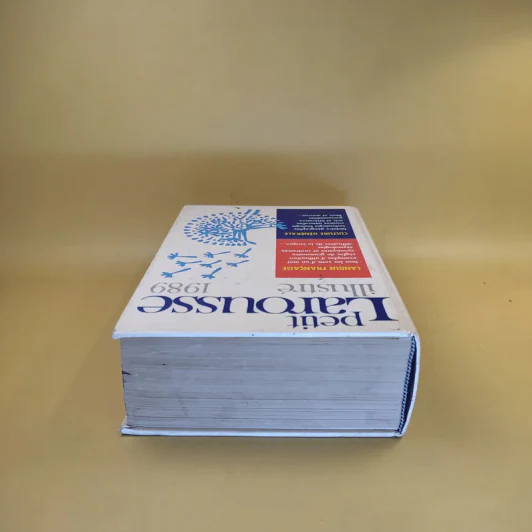 Petit Larousse Illustre 1989 รูปที่ 6