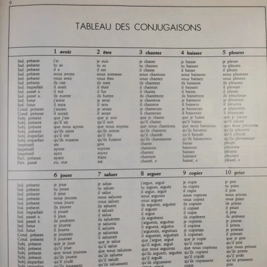 Petit Larousse Illustre 1989 รูปที่ 13