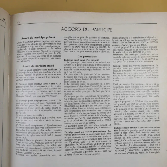 Petit Larousse Illustre 1989 รูปที่ 14