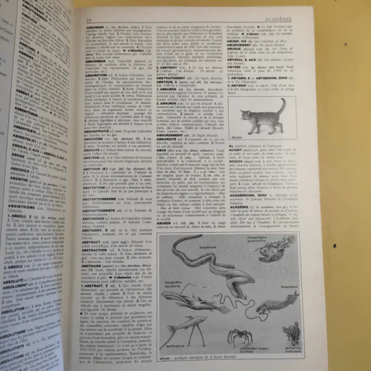 Petit Larousse Illustre 1989 รูปที่ 18