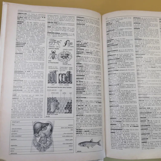 Petit Larousse Illustre 1989 รูปที่ 17