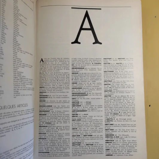 Petit Larousse Illustre 1989 รูปที่ 16