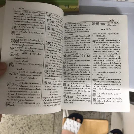 ศัพทานุกรม จีน-ไทย ฉบับซินหัว ค้นศัพท์ตามอักขระพินอิน พร้อมคำอ่านภาษาแต้จิ๋ว - เธียรชัย เอี่ยมวรเมธ รูปที่ 16