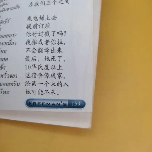 Freeman's พูดจีนกลางทันใจ 191 รูปที่ 11