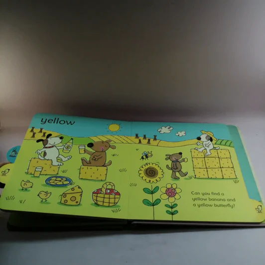 Lift-Out Colours Book with 25 Pieces - Usborne รูปที่ 9