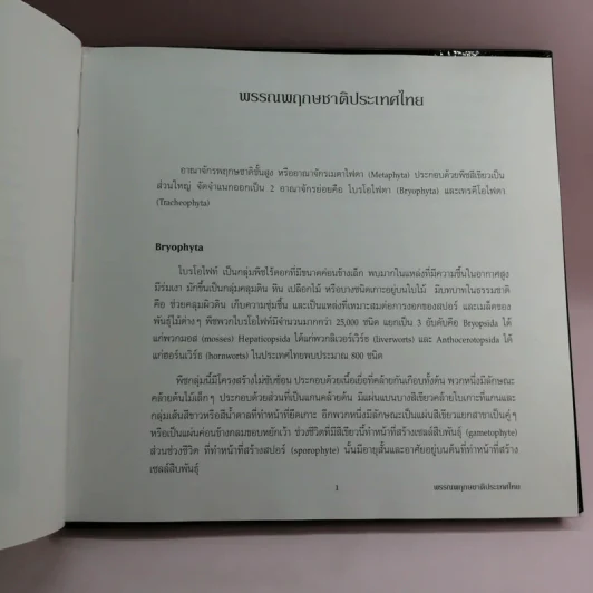 พรรณพฤกษชาติประเทศไทย รูปที่ 11