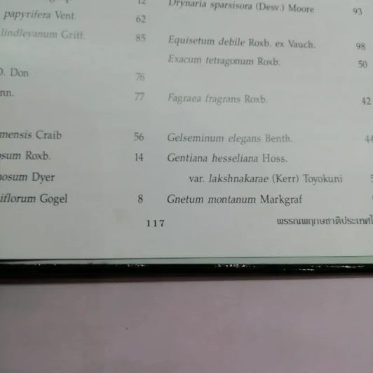 พรรณพฤกษชาติประเทศไทย รูปที่ 14