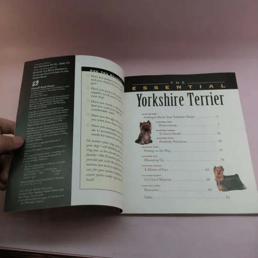 The Essential Yorkshire Terrier รูปที่ 7