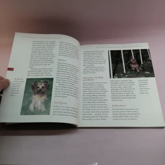 The Essential Yorkshire Terrier รูปที่ 10