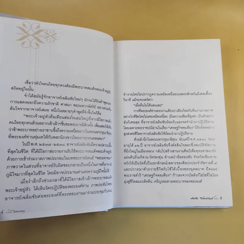 ไม่ธรรมดา - เฉลิมชัย โฆษิตพิพัฒน์ รูปที่ 11