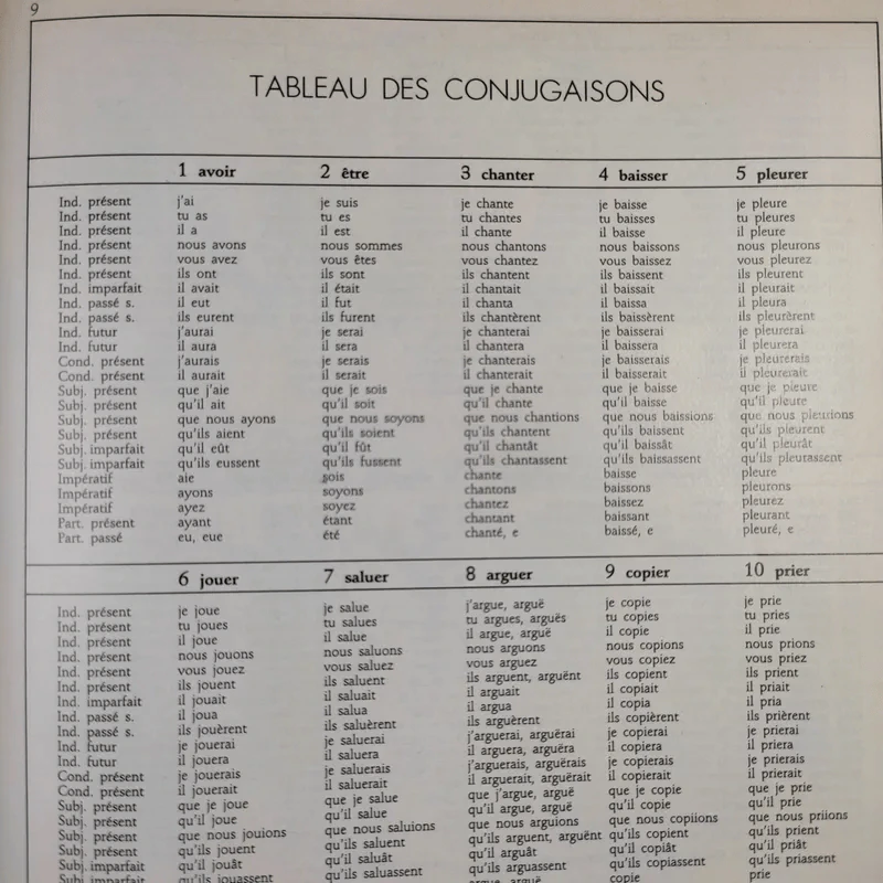 Petit Larousse Illustre 1989 รูปที่ 13