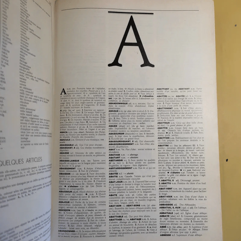 Petit Larousse Illustre 1989 รูปที่ 16