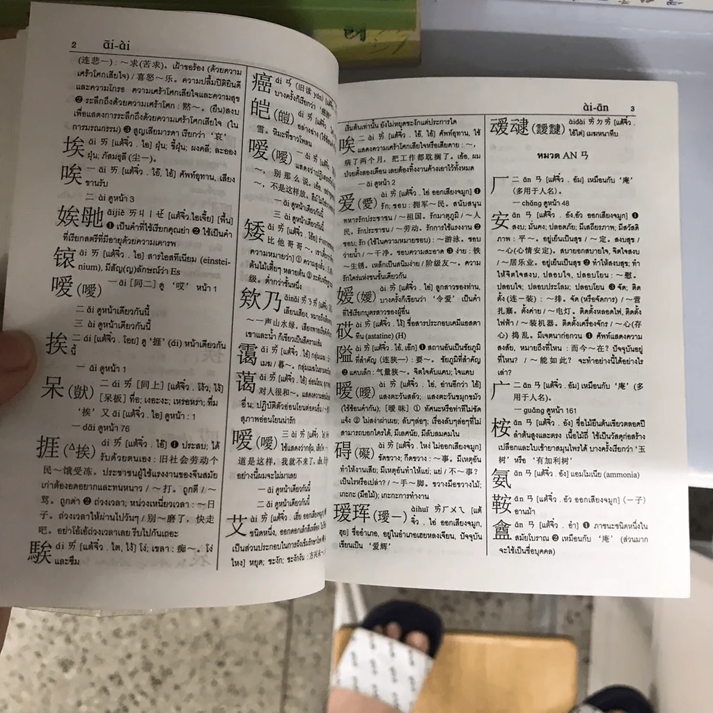 ศัพทานุกรม จีน-ไทย ฉบับซินหัว ค้นศัพท์ตามอักขระพินอิน พร้อมคำอ่านภาษาแต้จิ๋ว - เธียรชัย เอี่ยมวรเมธ รูปที่ 16