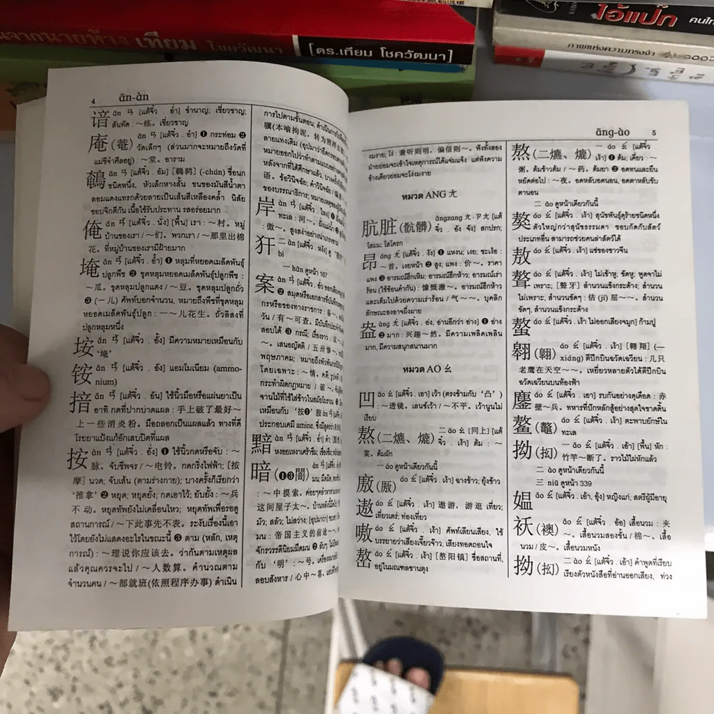 ศัพทานุกรม จีน-ไทย ฉบับซินหัว ค้นศัพท์ตามอักขระพินอิน พร้อมคำอ่านภาษาแต้จิ๋ว - เธียรชัย เอี่ยมวรเมธ รูปที่ 13