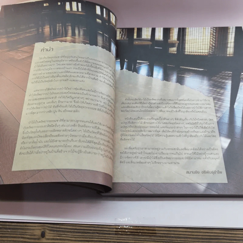 Sense of Wood - สมานชัย อธิพันธุ์อำไพ รูปที่ 10