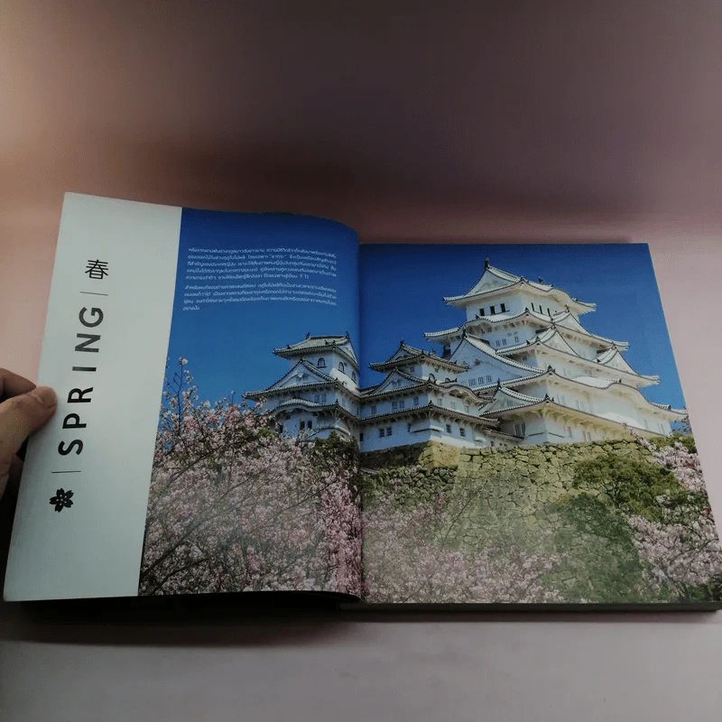 Japan Best of Seasons สัมผัสญี่ปุ่นสี่ฤดูผ่านมุมมองการถ่ายภาพของ รุจ ศุภรุจ รูปที่ 15