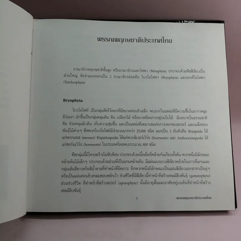 พรรณพฤกษชาติประเทศไทย รูปที่ 11