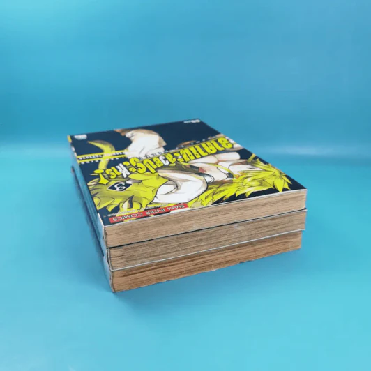 อาคาเมะ สวยประหาร เล่ม 1-3 รูปที่ 3