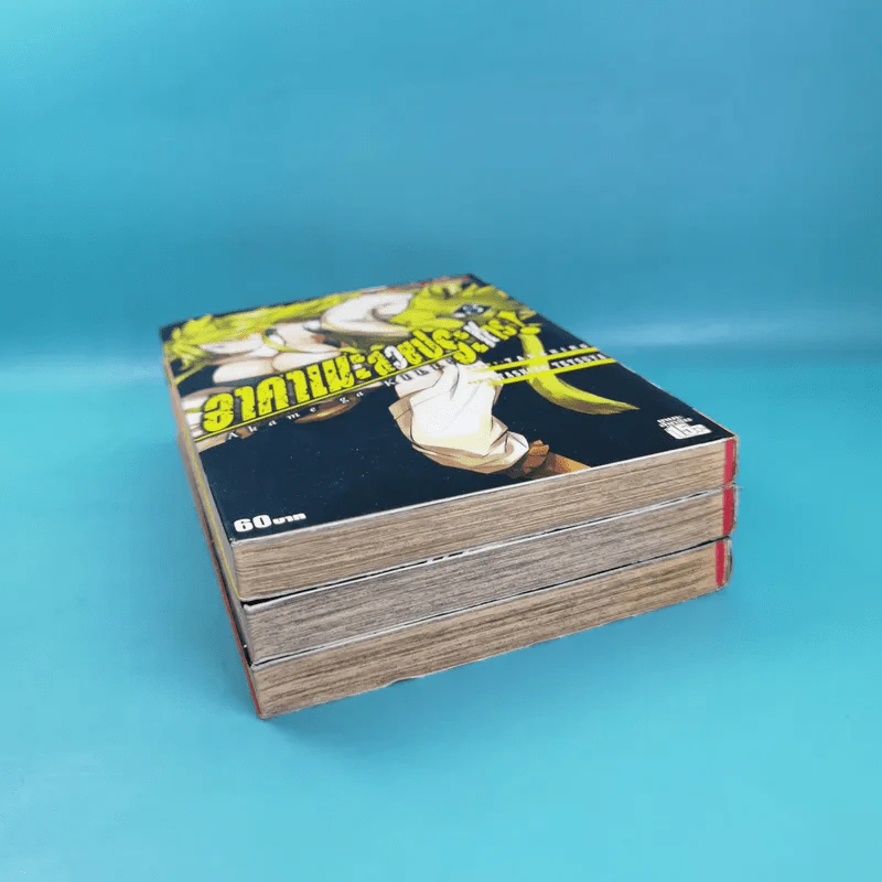 อาคาเมะ สวยประหาร เล่ม 1-3 รูปที่ 5