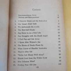 The Adventures of Huckleberry Finn - Mark Twain รูปที่ 10