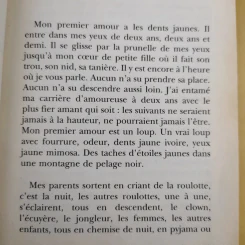 La folle allure - Christian Bobin รูปที่ 10