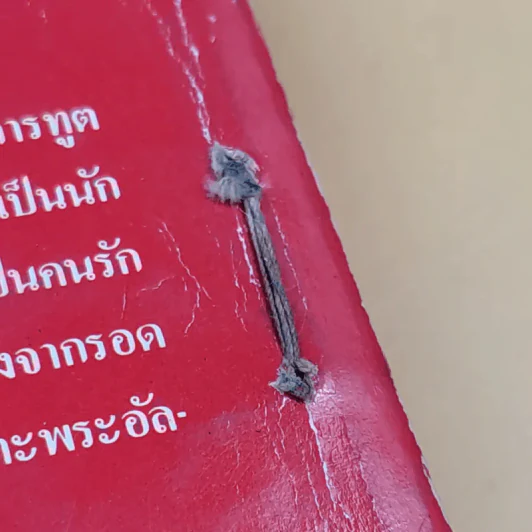 ชาห์แห่งอิหร่าน กษัตริย์ 9 ชีวิต - ธนิต ธรรมสุคติ รูปที่ 14