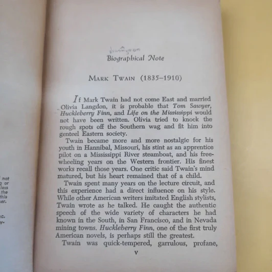 The Adventures of Huckleberry Finn - Mark Twain รูปที่ 9
