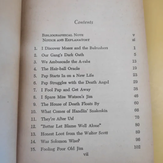 The Adventures of Huckleberry Finn - Mark Twain รูปที่ 10