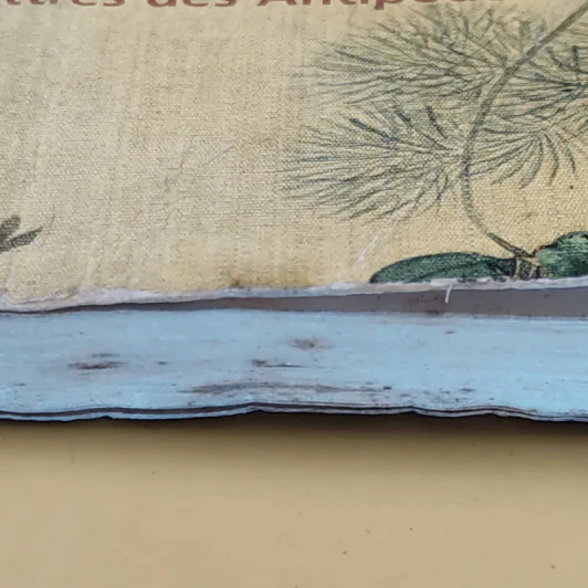 Le Bonheur des petits poissons - Simon Leys รูปที่ 5