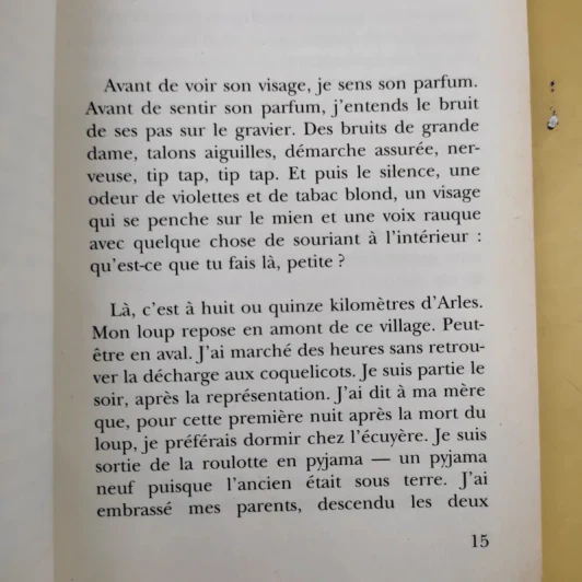 La folle allure - Christian Bobin รูปที่ 11