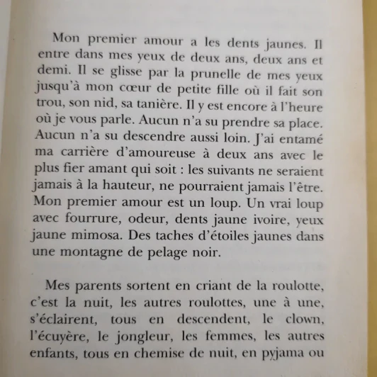 La folle allure - Christian Bobin รูปที่ 10