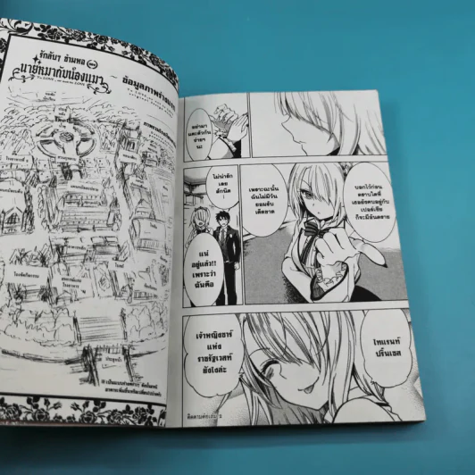 รักลับๆข้ามหอของนายหมากับน้องแมว เล่ม 1-4 รูปที่ 13