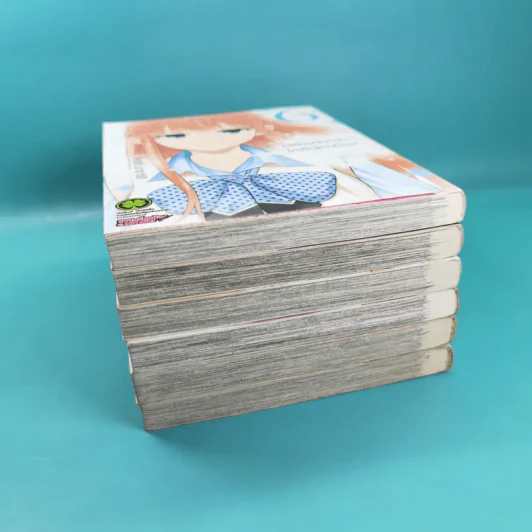 เปลี่ยนยัยหน้าจืดให้เป็นสาวป๊อป เล่ม 1-6 รูปที่ 6