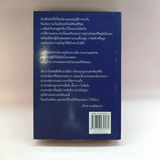 ดวงใจแม่สูงดั่งตะวัน - จ้าวติ้งจุน รูปที่ 14