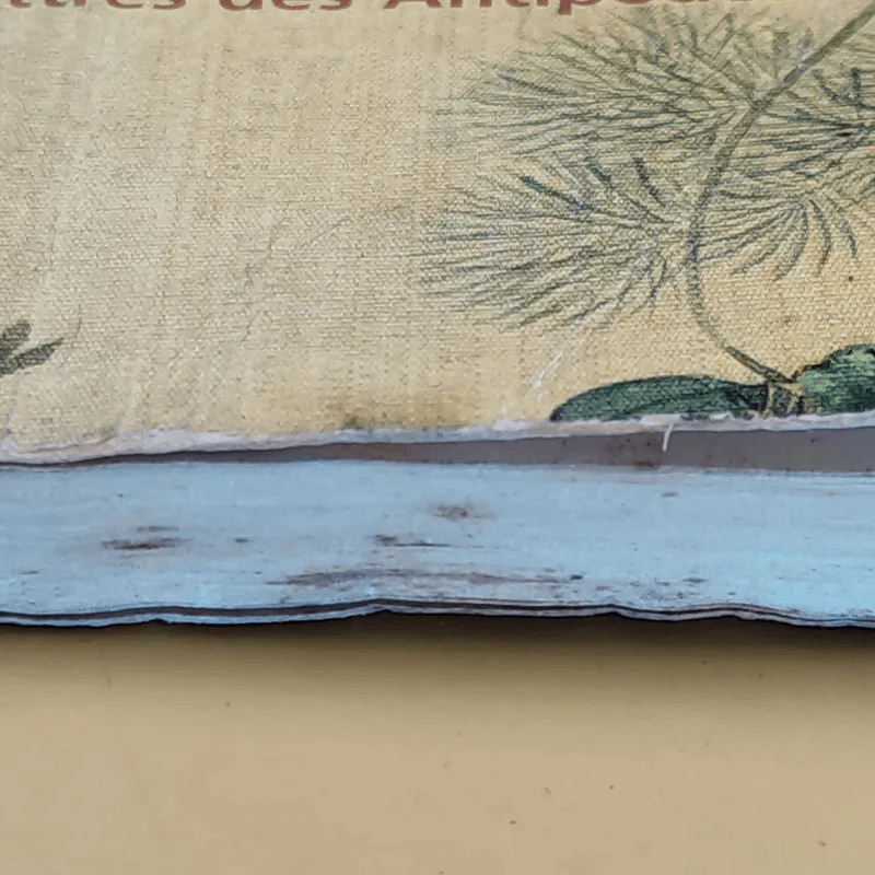 Le Bonheur des petits poissons - Simon Leys รูปที่ 5