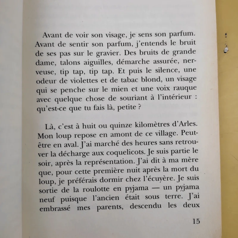 La folle allure - Christian Bobin รูปที่ 11