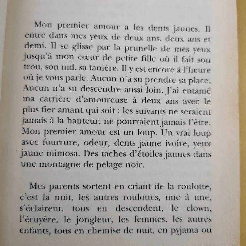 La folle allure - Christian Bobin รูปที่ 10