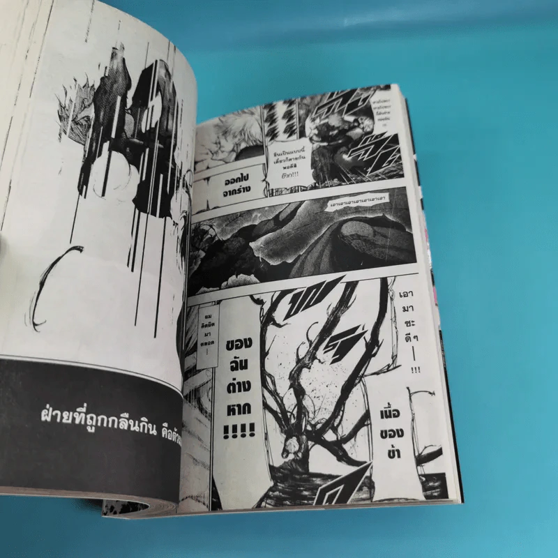 Tokyo Ghoul โตเกียว กูล 14 เล่มจบ รูปที่ 14