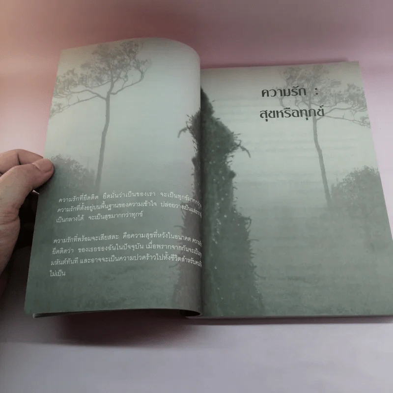 เส้นทางความสุข - เชิด เจริญรัมย์ รูปที่ 14
