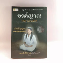 องค์ญาณ อภินิหารแก้วมณีโชติ - สันยาสี รูปที่ 1