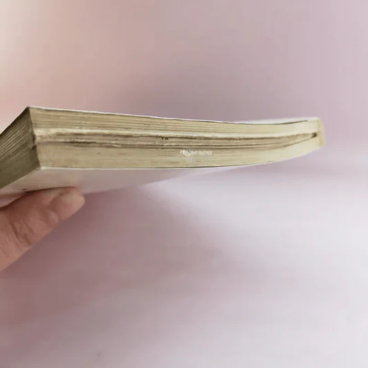 นสพ.รายสัปดาห์ สถานการณ์ หนังสือพิมพ์ข่าวสารการเมืองฉบับแรก ปี 2535 รูปที่ 6